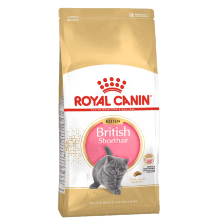 ROYAL CANIN BRITISH SHORT HAIR KITTEN 2KG